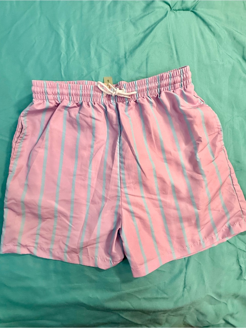 SHEIN Pink and Light Blue Stripe Elastic Waist Shorts